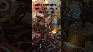 Apke Ancestors apko kya batana chahte hai🙏🏻 , Ancestors Blessings,  Timeless Reading