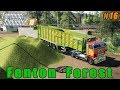 Chopping corn silage | Farming on Fenton Forest | Farming simulator 19 | Timelapse #16