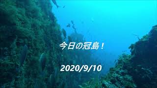 冠島DIVE LOG 2020/9/10