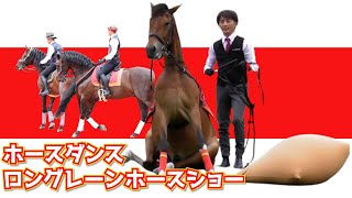 「【2024 札幌競馬場】馬が魅せる！ロングレーンホースダンスショー」　#ホースダンス #ロングレーン2024 #札幌競馬場 #馬好き #むきむきホース #ウキウキダンス #癒しの馬