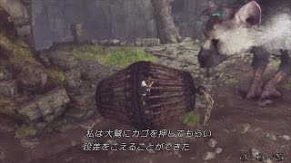 【PS4】人喰いの大鷲トリコ（THE LAST GUARDIAN） - 5時間以内クリア＆死亡なし攻略 PART 14