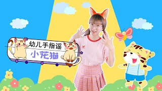 小花猫 幼儿手势舞 幼儿园儿歌 动物儿歌