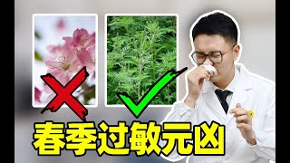 【皮肤科医生】春季过敏人群集结！5招应对花粉过敏