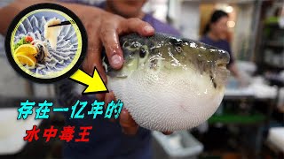 日本烹饪河豚需要考试，买河豚要竞拍，贵又致命为啥这么受欢迎？