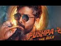 ପୁଷ୍ପା ଲୁଚିଛି ମାଲକାନଗିରି ଜଙ୍ଗଲରେ puspa the rule movie update allu arjun ଆମର cinema puspa