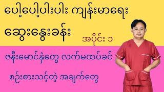 ဇနီးမောင်နှံတွေ လက်မထပ်ခင် စဉ်းစားသင့်တဲ့ အချက်တွေ - Making your marriage work