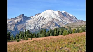 MOUNT RAINIER NATIONAL PARK   HIKING THE SUNRISE TRAIL SYSTEM