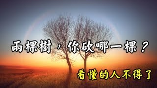 兩棵樹，你砍哪一棵？看懂的人不得了 【心靈享宴】