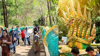 Wat Kham Chanot is a mystical Buddhist temple in a swamp with chanod trees. Temple for good luck