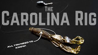 LEARN To Tie The Perfect CAROLINA RIG For Bass Fishing!!