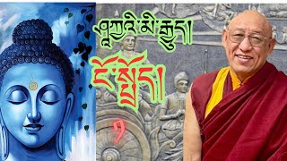 རྒན་བེ་རི་མཆོག་ནས་ཤཱཀྱའི་མི་རྒྱུད་ཀྱི་ངོ་སྤྲོད་གནང་བ།#tibetanvlogger#budhhism