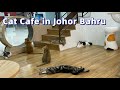 Malaysia, Johor Bahru - Chucky Cat Cafe | Komtar JBCC