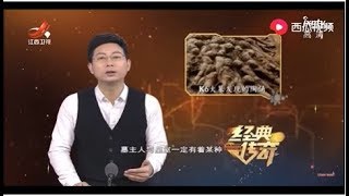 《经典传奇》解密凤栖原大墓