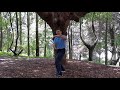 tai chi terapeutico para mejorar y mantener tu salud clase 2 🤗