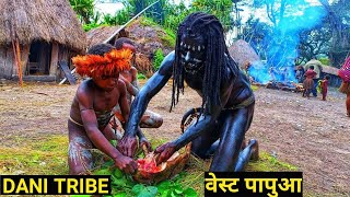 दानी जनजाति कल्चर वेस्ट पापुआ । Dani Tribe culture West Papua |