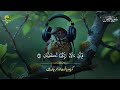 surah rahman urdu tarjuma k sath highest quality qari al sheikh abdul basit abdul samad ep 55