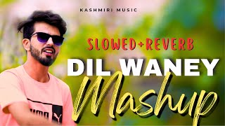 Dil Waney Mashup (Slowed+Reverb) Anu Anaf  Kashmiri New Song 2023 #kashmir #sad #viral