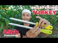 45rb Sharpening HMF Turkey, Tramontina Boning, Hulusi, Drita dll