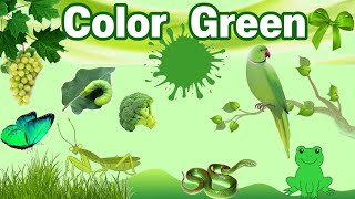 💚Colour Green |Color Song Green| Things that are green in color| Introduction of Green Color|