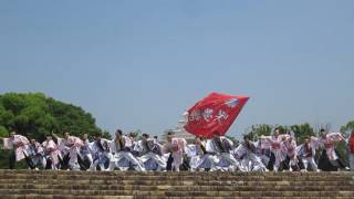 咲舞麗衣/姫路よさこいまつり2016　城見台公園　西二階商店街賞