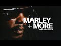 Peter Tosh How Reggae Is Made, Bob Marley & Power Rare | Paris Interview June 28, 1981