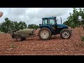 prevenciÓn contra botriosfera en el pistacho ‼️🌳