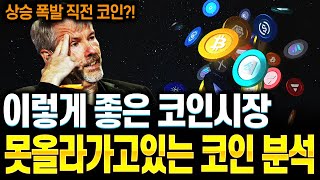 미국 기업 비트코인 더 매입할까?그러면 이제 이 코인 모으면?!