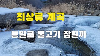 통발낚시 겨울철 최상류 1급수 계곡 통발로 물고기 잡힐까요!!!??