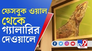 ফেসবুকের ভার্চুয়াল দুনিয়া থেকে গ্যালারির দেওয়ালে জায়গা পেল উঠতি ফটোগ্রাফারদের ছবি | Wild Life Photos