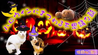 【不思議な話】【ほのぼの怪談】【怖い話】【猫が語る不思議な話】【猫動画】【ハロウィン】ハロウィンにまつわる不思議な話１０話