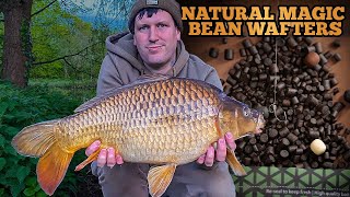 | Moreton Fisheries | Carp Fishing | Parker Baits New Natural Magic Bean Wafters First Review
