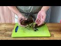 do this critical step before cooking lobsters how to clean prep cut crack boston lobsters