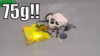 Big damage from a 75g robot!!! (ARC Fleas fight report)