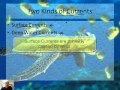 What Causes the Oceans to Circulate? (2/3)