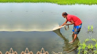 Amazing Fishing Skill - Best Net Fishing Video - Unbelievable Net Fishing New Video