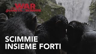 The War - Il Pianeta delle Scimmie | Scimmie insieme forti Spot HD | 20th Century Fox 2017