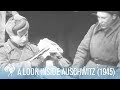 A Look Inside The Largest Nazi Concentration Camp - Auschwitz (1945) | British Pathé