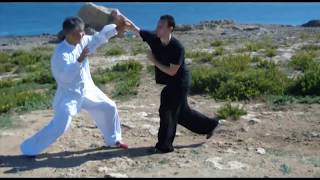 Baguazhang combat