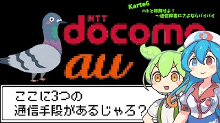 【VOICEVOX解説】ハトと和解せよ！～通信障害にさよならバイバイ　#Karte6