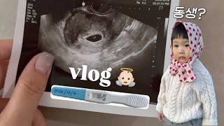 vlog. 둘째 임밍아웃👼🏻 이수에게 동생이 생겼어요! (성별 공개), 임신 초기- 중기