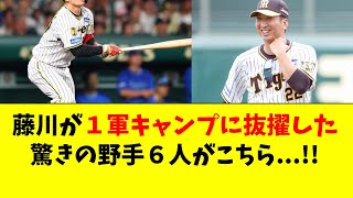 【阪神】藤川監督が1軍キャンプに選んだ驚きの６人がこちら