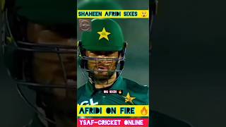 Shaheen Afridi Sixes 🔥#viralshorts