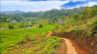 Jelajah Alam Desaku Hari Ini Di kampung Yang Ada Rumah Spek Kayu Mewah, Pedesaan Jawa Barat