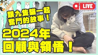 【孤貓工作室】直播－2024年回顧與領悟！跟九隻貓一起奮鬥的故事！