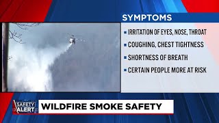 Wildfire smoke combined with high pollen levels raise air quality concerns