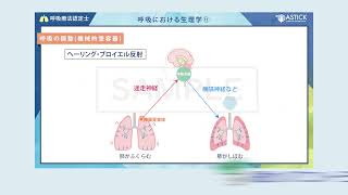 呼吸eラーニング サンプル動画