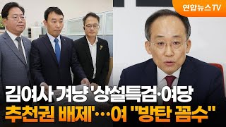 민주, 김여사 겨냥 '상설특검·여당 추천권 배제'…여 \