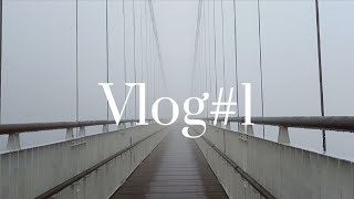 |Vlog|📍嘉義/太平雲梯/太平老街/空氣圖書館/阿漢的家/檜意森活村#vlog