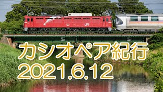 東北本線（カシオペア紀行：EF81-80　スペーシア他） 2021.6.12