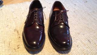 Alden PTB 990 vs. Allen Edmonds Leeds Plain Toe Bluchers in Shell Cordovan